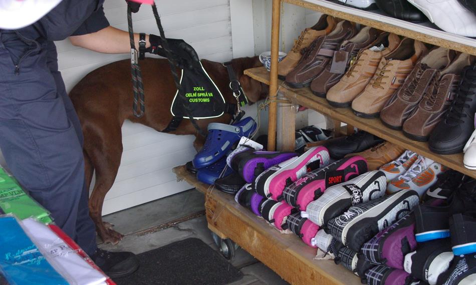 2014-7-29-1447Bára při práci.JPG